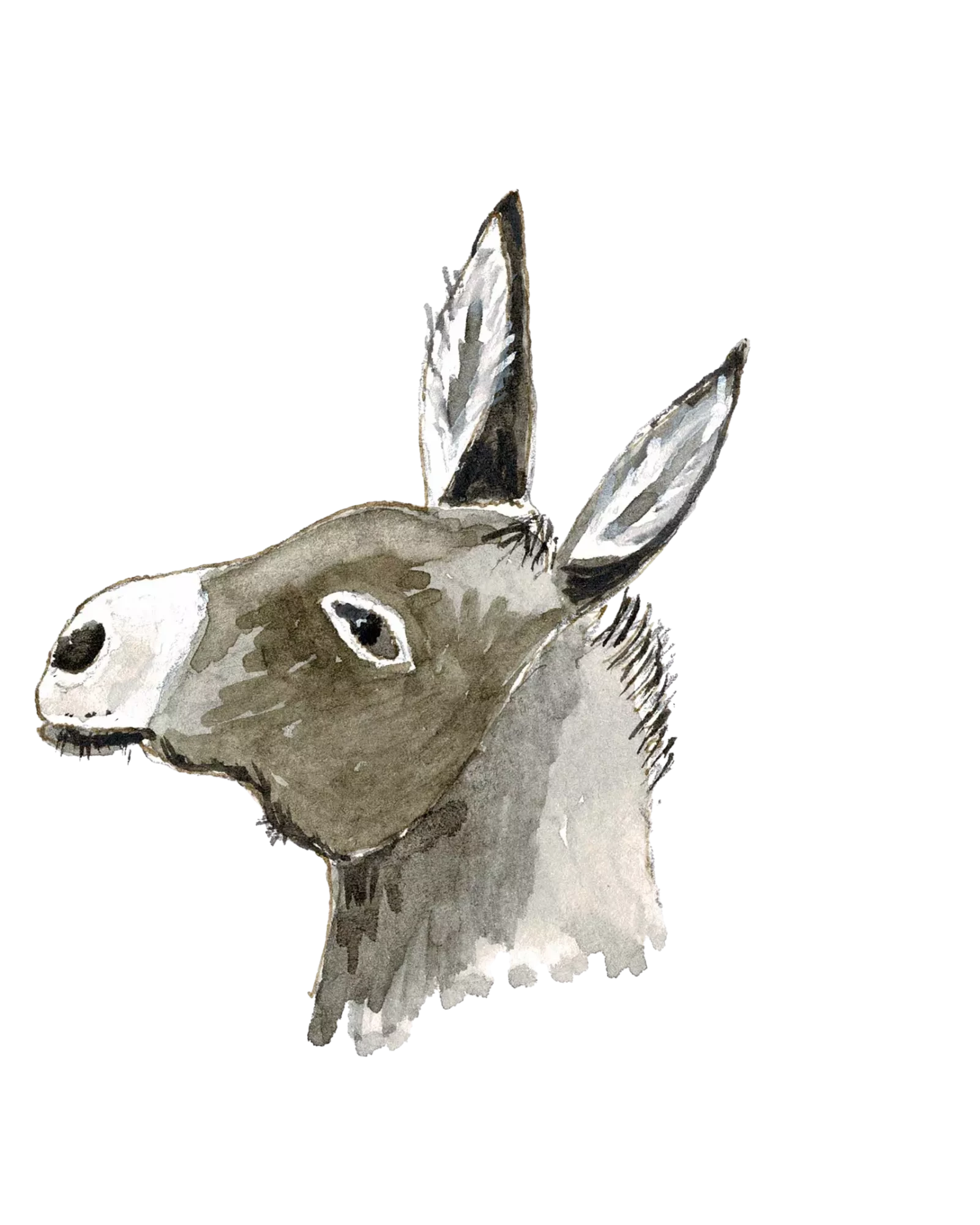 Ane CLaureau