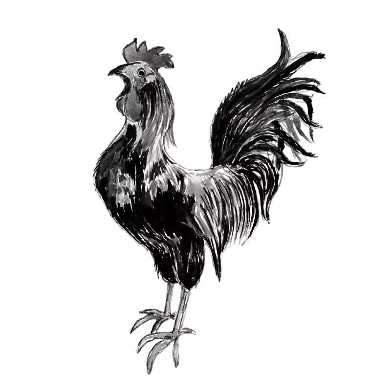 Coq Colette 2