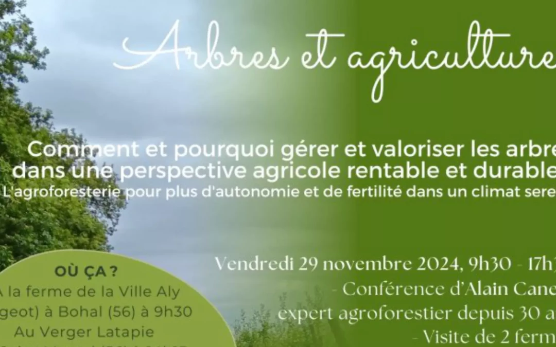 3_js_nov_2024_flyer 2000 1077