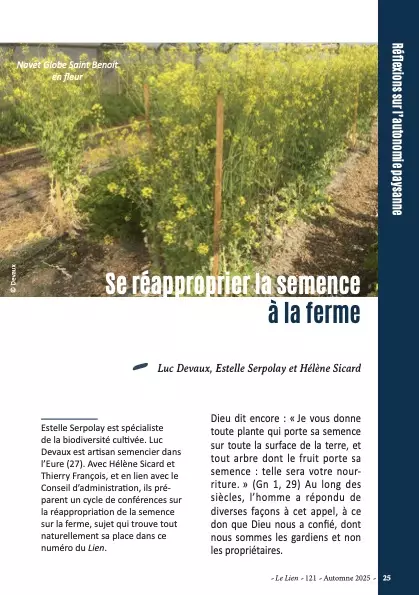 l121_semence__P1